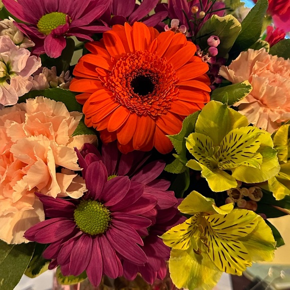 Meet your Posher, Alexa! - Picture 3 of 4